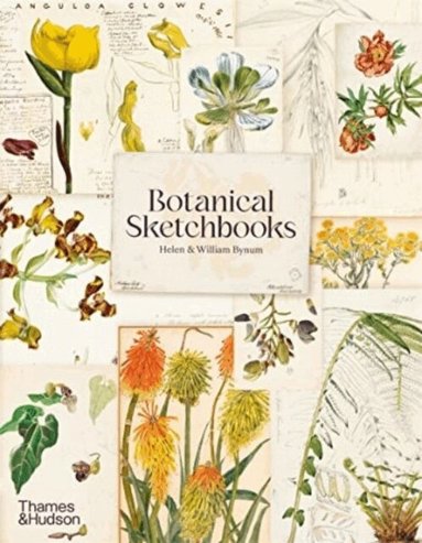 Helen Bynum, William Bynum - Botanical Sketchbooks, Häftad