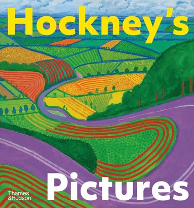 bokomslag Hockney's Pictures