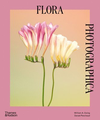 Flora Photographica 1