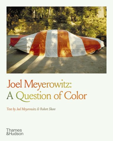 Joel Meyerowitz - Joel Meyerowitz: A Question of Color, Häftad