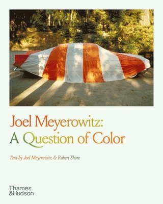 bokomslag Joel Meyerowitz: A Question of Color