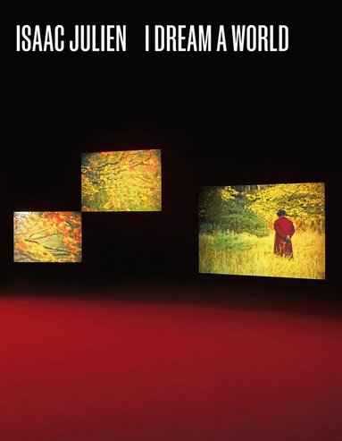 Hilton Als, Claudia Schmuckli, B. Ruby Rich, Dan Hicks - Isaac Julien, Häftad