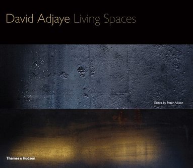 David Adjaye, Peter Allison - David Adjaye, Inbunden