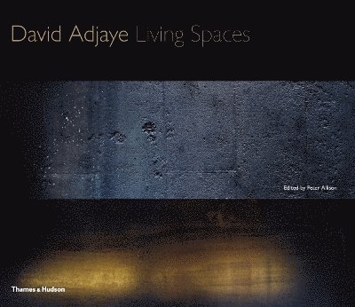 David Adjaye 1