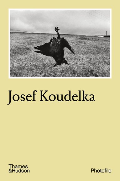 Josef Koudelka, Häftad