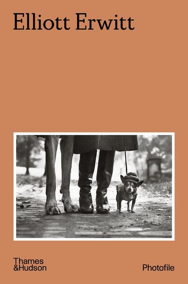 Elliott Erwitt, Häftad