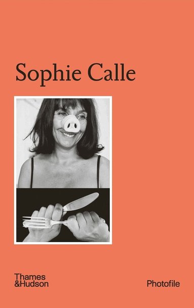Sophie Calle, Häftad