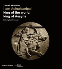 bokomslag I am Ashurbanipal