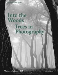 bokomslag Into the Woods: Trees in Photography
