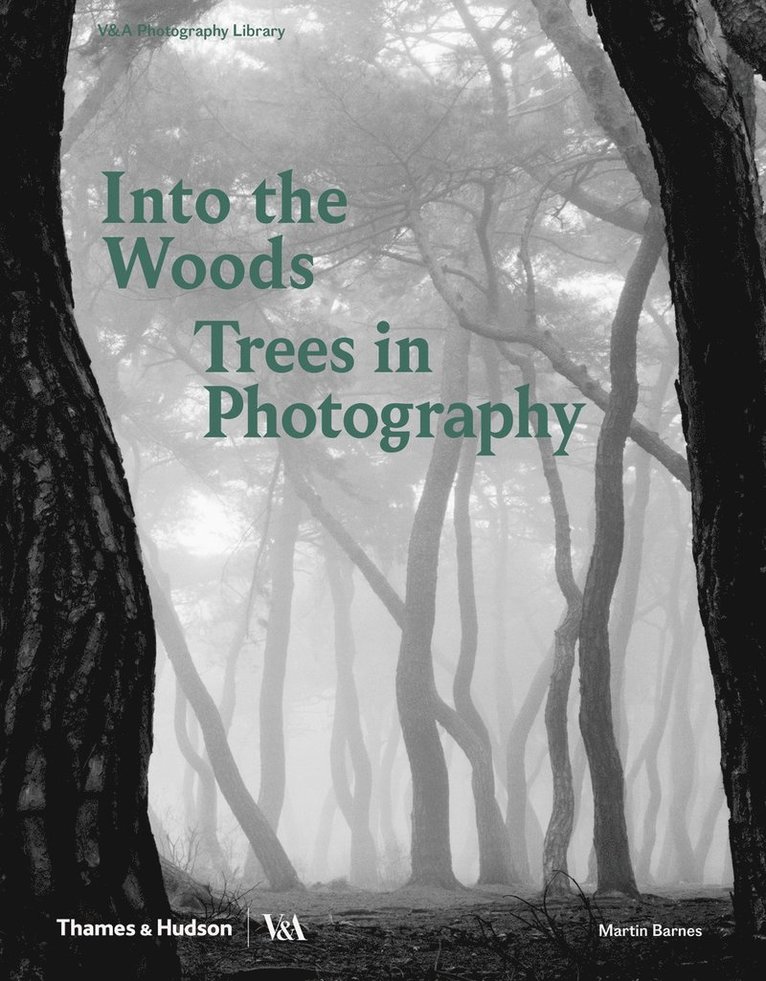 Into the Woods: Trees in Photography 1