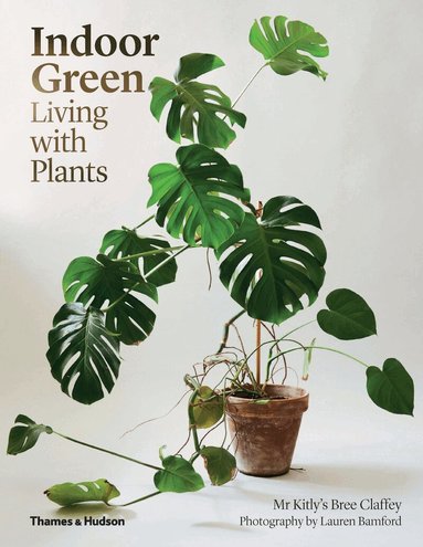 Mr Kitly's Bree Claffey - Indoor Green, Häftad