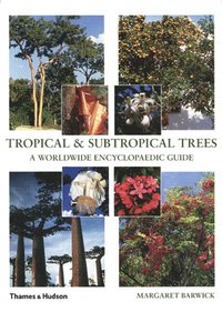 bokomslag Tropical & Subtropical Trees