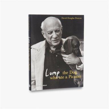 bokomslag Lump: The Dog who ate a Picasso