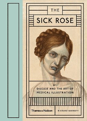 bokomslag The Sick Rose