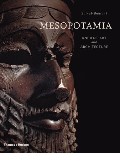 bokomslag Mesopotamia