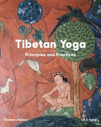 bokomslag Tibetan Yoga