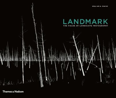 Landmark 1