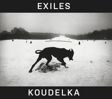 bokomslag Josef Koudelka: Exiles