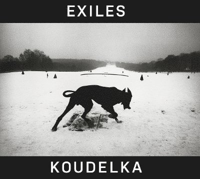 Josef Koudelka: Exiles 1
