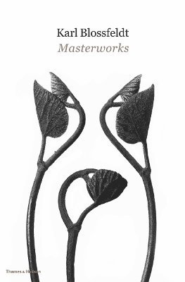 bokomslag Karl Blossfeldt: Masterworks