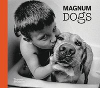 bokomslag Magnum Dogs