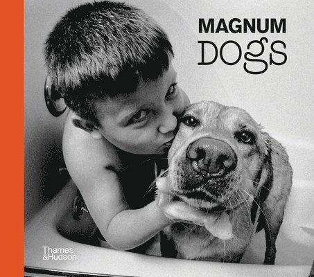 Magnum Dogs 1