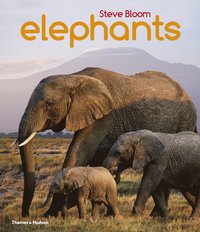 bokomslag Elephants