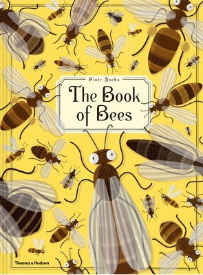 Piotr Socha - Book of Bees, Inbunden