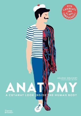 Anatomy 1