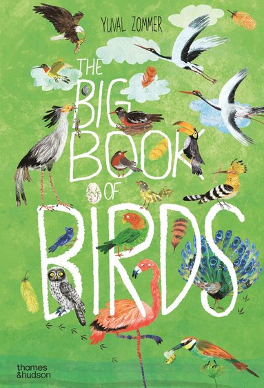 bokomslag Big Book of Birds