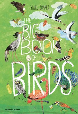 The Big Book of Birds 1