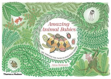 Aina Bestard - Amazing Animal Babies, Inbunden