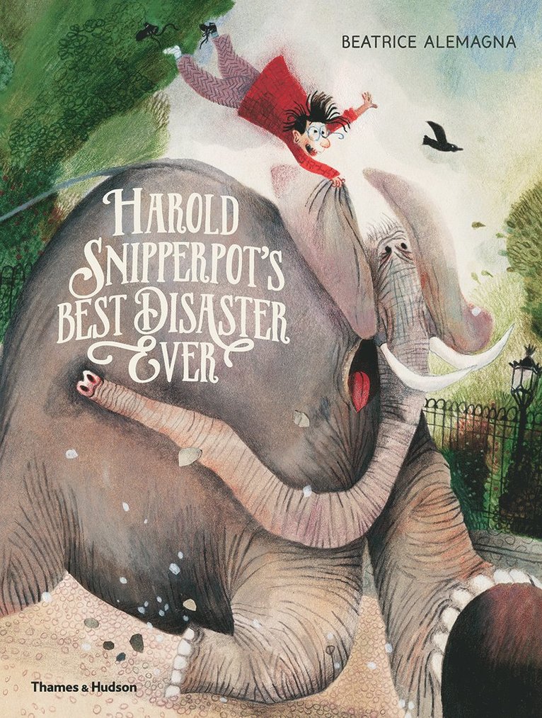 Harold Snipperpot’s Best Disaster Ever