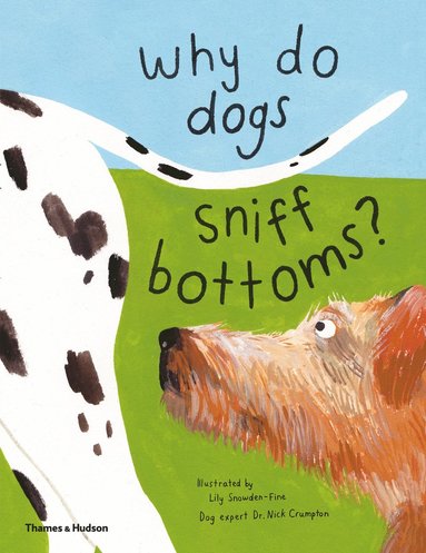 bokomslag Why do dogs sniff bottoms?