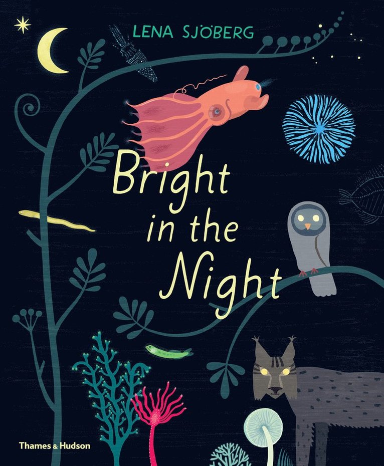 Bright in the Night 1