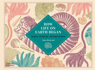 Aina Bestard - How Life on Earth Began, Inbunden