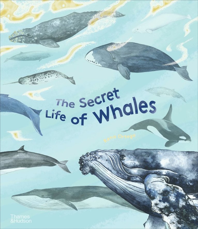 Secret Life of Whales 1