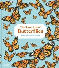 bokomslag Secret Life of Butterflies