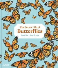 bokomslag The Secret Life of Butterflies