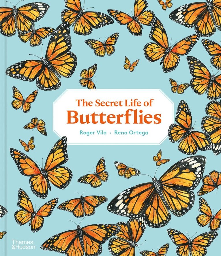Secret Life of Butterflies