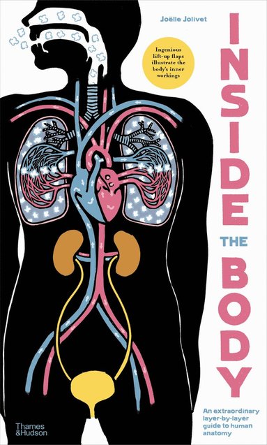 bokomslag Inside the Body