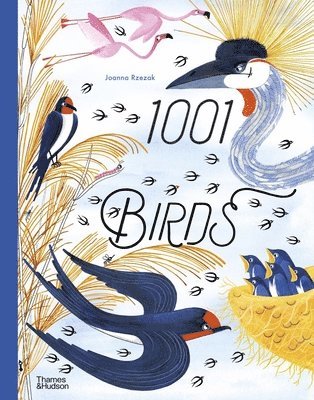 1001 Birds 1