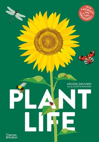 Hélène Druvert - Plant Life, Inbunden