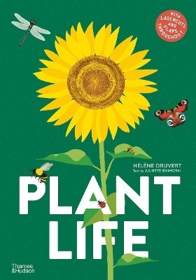 Hélène Druvert, Helene Druvert - Plant Life, Inbunden