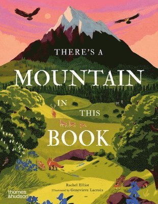 There's a Mountain in This Book 1