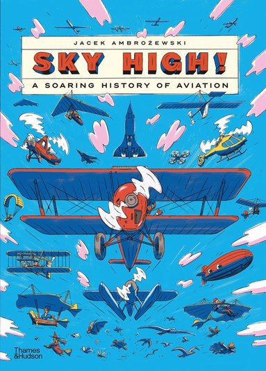 bokomslag Sky High!