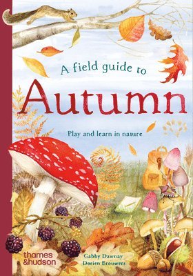 A Field Guide to Autumn 1