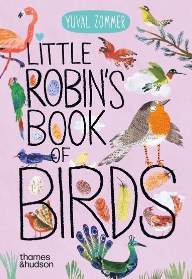 bokomslag Little Robin's Book of Birds