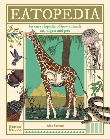 Aina Bestard - Eatopedia, Inbunden