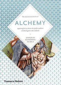 bokomslag Alchemy - the secret art